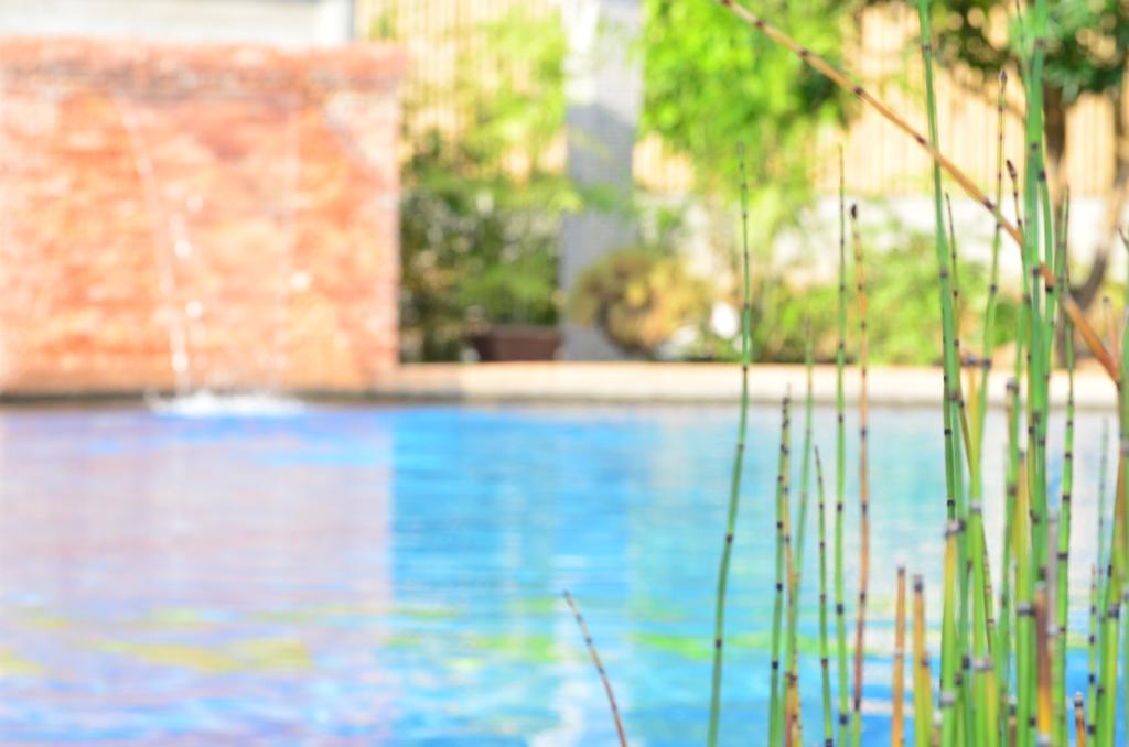 Veraneante Resort Panglao Extérieur photo